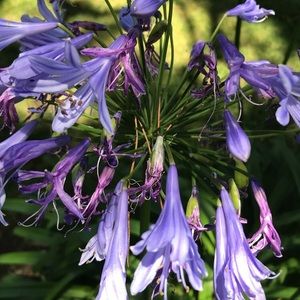 Meet your Posher, Leslie